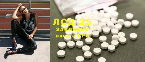 PSILOCYBIN Магас