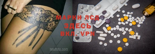 PSILOCYBIN Магас