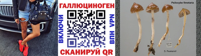 Псилоцибиновые грибы ЛСД  Купить где  Приморско-Ахтарск 